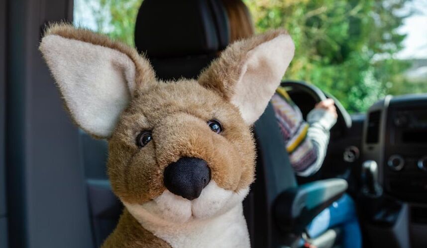 Maskottchen - ein Stoffkänguru - sitzt im Auto und hat den Kopf zur Kamera gedreht.