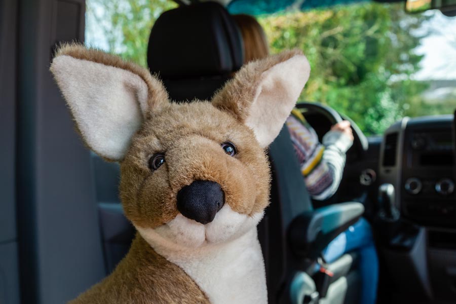 Maskottchen - ein Stoffkänguru - sitzt im Auto und hat den Kopf zur Kamera gedreht.